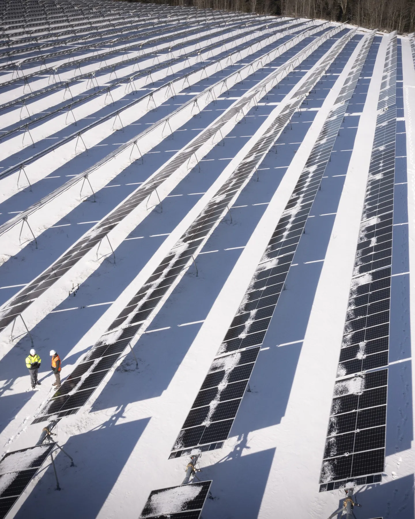 Aerial view of a Louth Callan array under snow, two crew members walking between the rows.