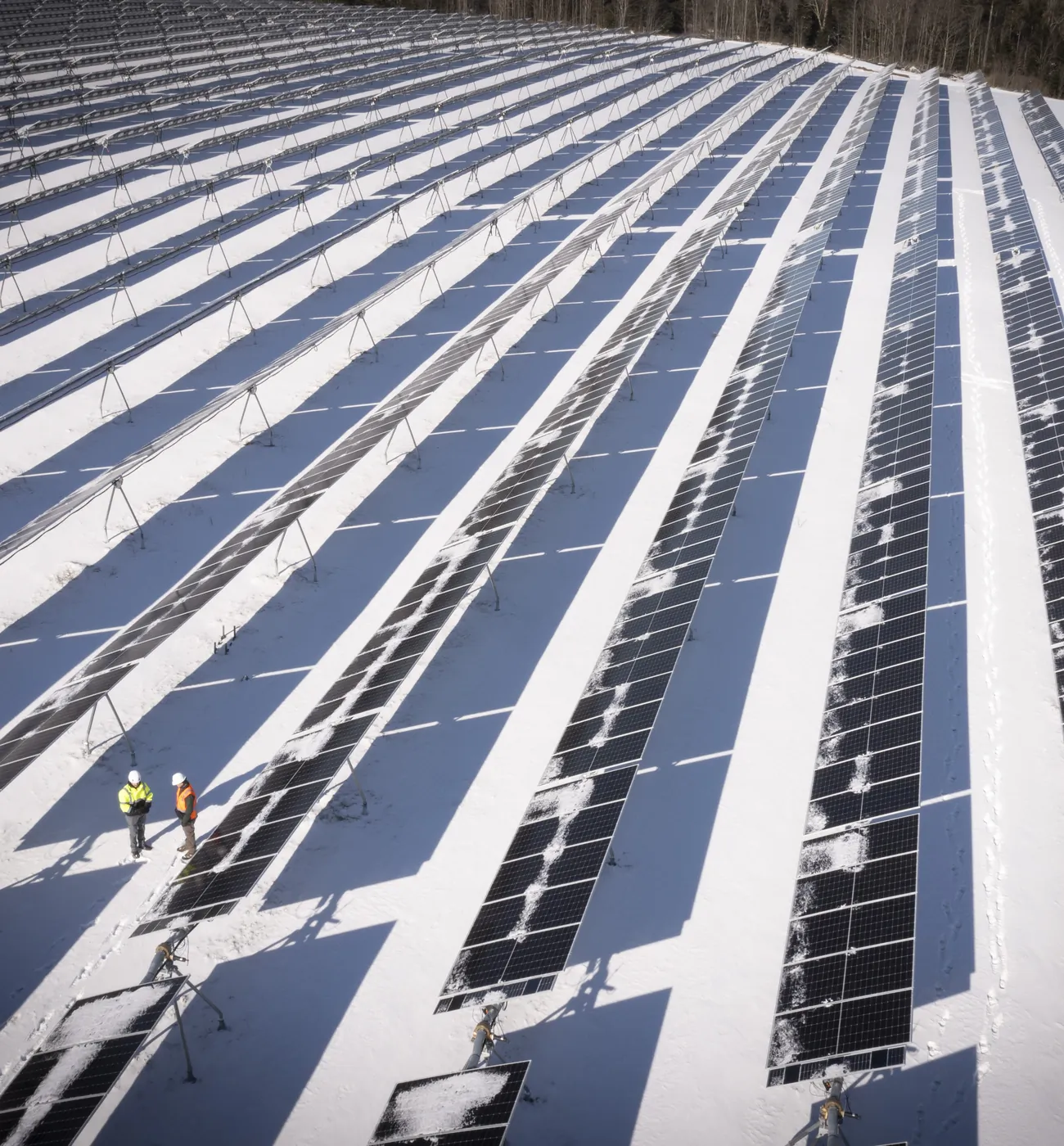 Aerial view of a Louth Callan array under snow, two crew members walking between the rows.